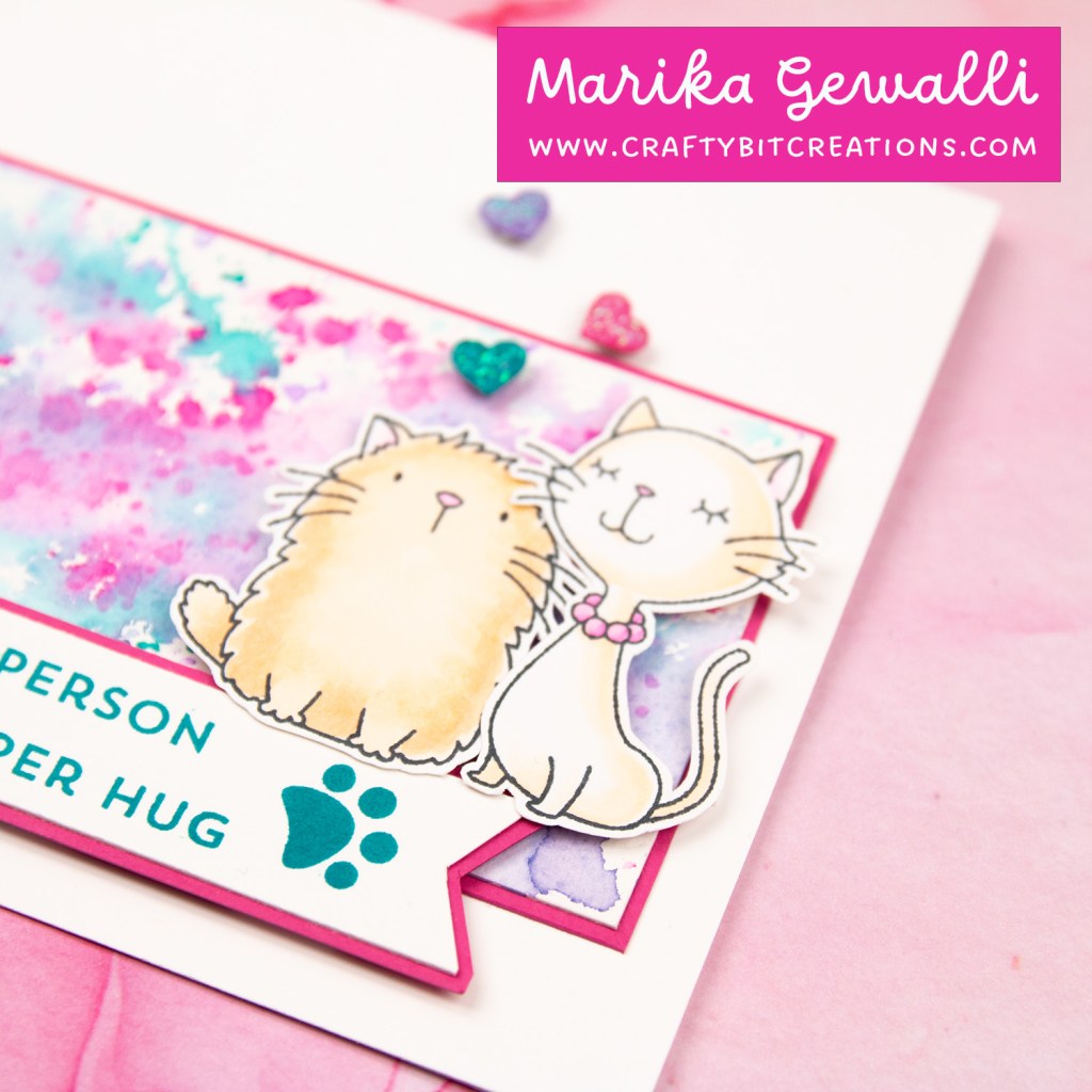 close up of card showing two stamped and colored cats next to eachother